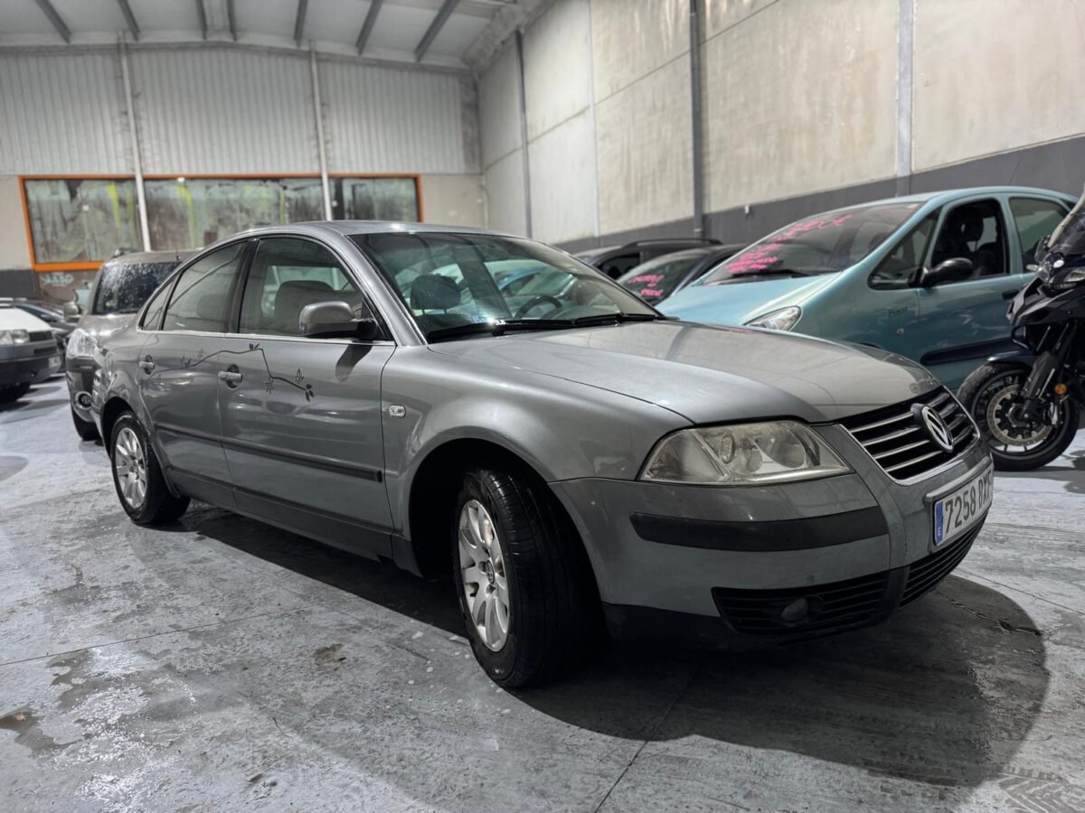 VOLKSWAGEN Passat 1.9 Tdi 130cv